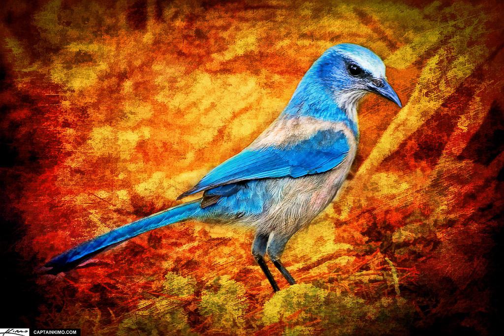 Qué significa el poema "El pájaro azul" de Bukowski