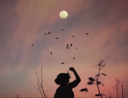 Poema: La extraña que habita dentro de mí