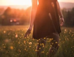 Cómo hacer un cambio de vida fases